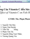 Ảnh hưởng của vitamin C đến sức khỏe cá