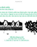 Bài giảng nguyên lý cắt gọt gỗ : Nguyên lý và công cụ đánh nhẵn part 2