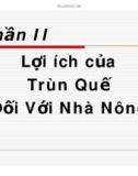 Kỹ thuật nuôi Trùn quế - Phần II