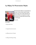 Lạ Miệng Với Watermelon Mojito