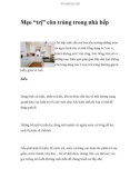 Mẹo 'trị' côn trùng trong nhà bếp