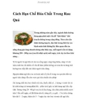 Cách Hạn Chế Hóa Chất Trong Rau Quả