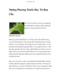 Những Phương Thuốc Hay Từ Rau Cần