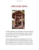 MÙI CUỘC SỐNG