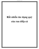 Rất nhiều tác dụng quý của rau diếp cá