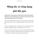 Măng tây có công dụng giải độc gan