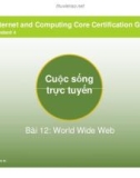 Bài giảng Cuộc sống trực tuyến bài 12: World Wide Web