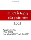 Bài giảng Đảm bảo chất lượng phần mềm: Chất lượng của phần mềm - Nguyễn Anh Hào