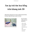 Ấm áp trái tim hoa hồng trên khung ảnh 3D