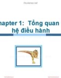 Bài giảng Hệ điều hành: Chapter 1 - ThS. Trần Thị Như Nguyệt