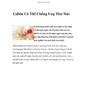 Cafein Có Thể Chống Ung Thư Não