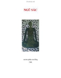 NGŨ SẮC