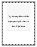 Cây hương đá cổ - biểu tượng quý giá của văn hóa Việt Nam