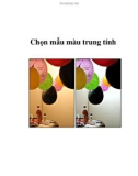 Chọn mẫu màu trung tính