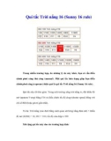 Qui tắc Trời nắng 16 (Sunny 16 rule)