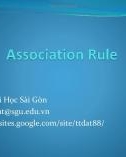 Bài giảng Khai phá dữ liệu (Data mining): Association rule - Trịnh Tấn Đạt