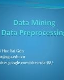 Bài giảng Khai phá dữ liệu (Data mining): Data preprocessing - Trịnh Tấn Đạt