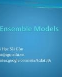 Bài giảng Khai phá dữ liệu (Data mining): Ensemble models - Trịnh Tấn Đạt