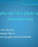 Bài giảng Khai phá dữ liệu (Data mining): Introduction - Trịnh Tấn Đạt