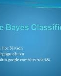 Bài giảng Khai phá dữ liệu (Data mining): Naïve Bayes Classification - Trịnh Tấn Đạt