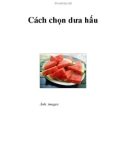 Cách chọn dưa hấu