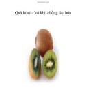 Quả kiwi - 'vũ khí' chống lão hóa