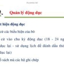 Một số vấn đề về quản lý sinh sản ở bò sữa part 4