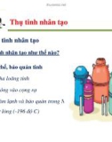 Một số vấn đề về quản lý sinh sản ở bò sữa part 6