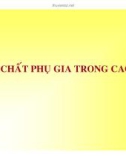 Công nghệ cao su - Phần 5