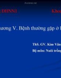 Giáo Trình Bệnh học thủy sản phần 2 - ThS.GV Kim Văn Vận