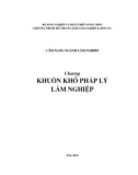 Khuôn khổ pháp lí lâm nghiệp