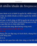 Bệnh học thủy sản : Bệnh do vi khuẩn part 5