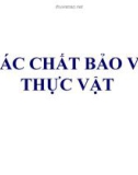 Bài giảng các chất bảo vệ thực vật