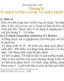 Quy trình kỹ thuật cây cao su - Phần 3 Quy trình kỹ thuật bảo vệ thực vật - Chương 2