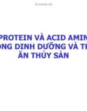 Bài giảng: Protein và acid amin trong dinh dưỡng va thức ăn thủy sản