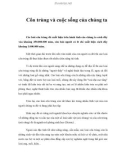 Côn trùng và cuộc sống của chúng ta