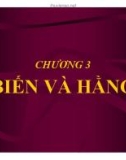 Bài giảng Lập trình C căn bản: Chương 3 - Phạm Thế Bảo