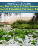 Increasing The Capacity Of Small Reservoirs By Concrete Fuseplugs: The Saloun Dam