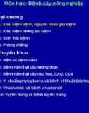 Khái niệm về các loại bệnh trên cây trồng