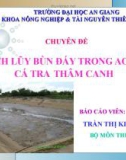 SỰ TÍCH LŨY BÙN ĐÁY TRONG AO NUÔI CÁ TRA THÂM CANH