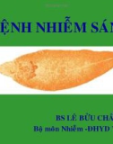 Bệnh nhiễm sán