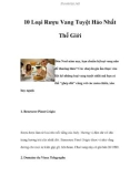 10 Loại Rượu Vang Tuyệt Hảo Nhất Trên Thế Giới