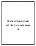 Phòng viêm màng não mô cầu trong mùa xuân hè