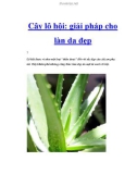 Cây lô hội: giải pháp cho làn da đẹp