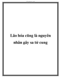 Lão hóa cũng là nguyên nhân gây sa tử cung