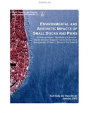 ENVIRONMENTAL AND AESTHETIC IMPACTS OF SMALL DOCKS AND PIERS