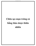 Chữa sẹo mụn trứng cá bằng thảo dược thiên nhiên