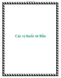 Các vị thuốc từ Rắn