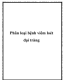 Phân loại bệnh viêm loét đại tràng