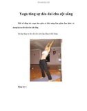 Yoga tăng sự dẻo dai cho cột sống